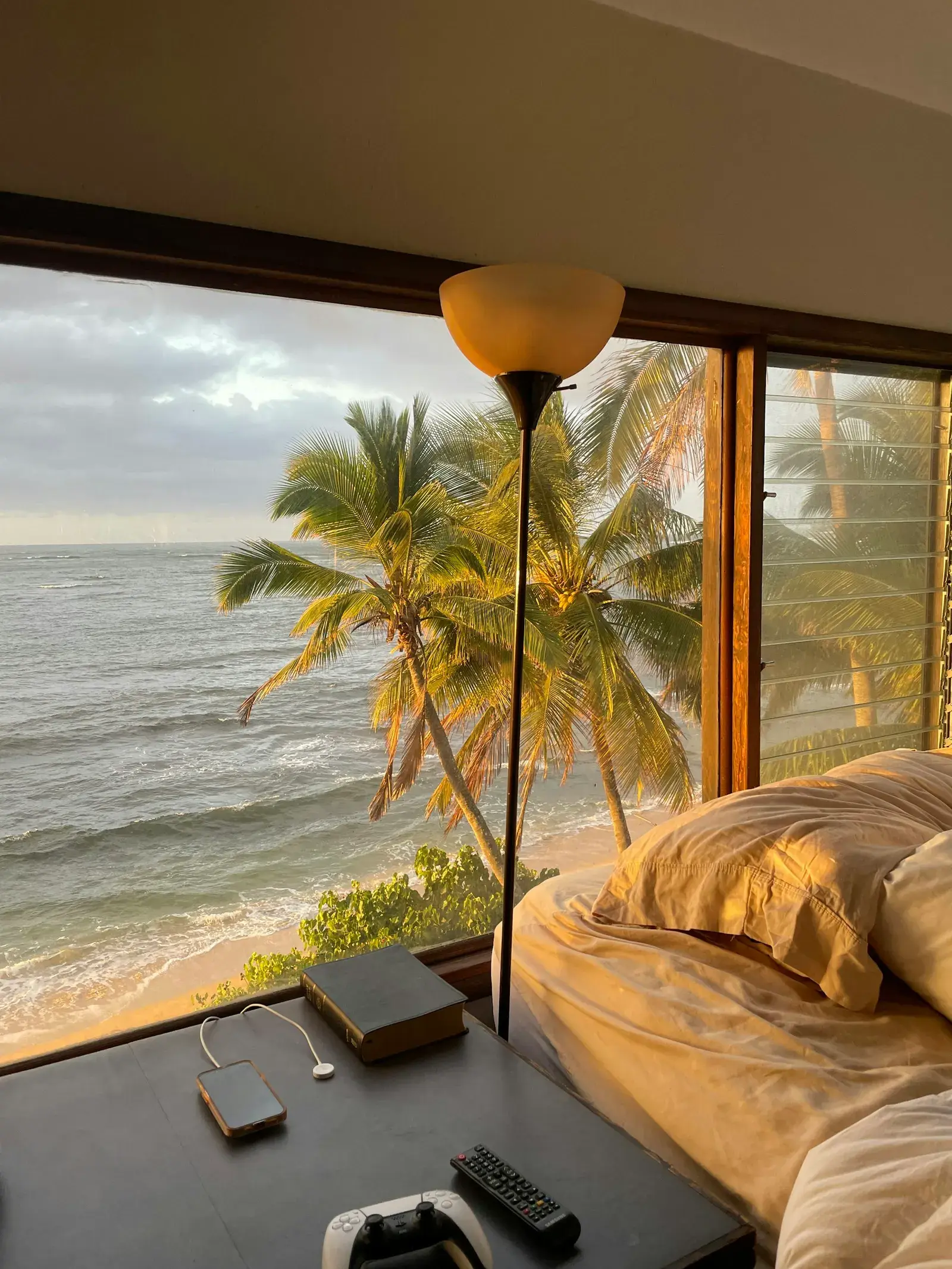 A bedroom window with a view of palm trees and the ocean.